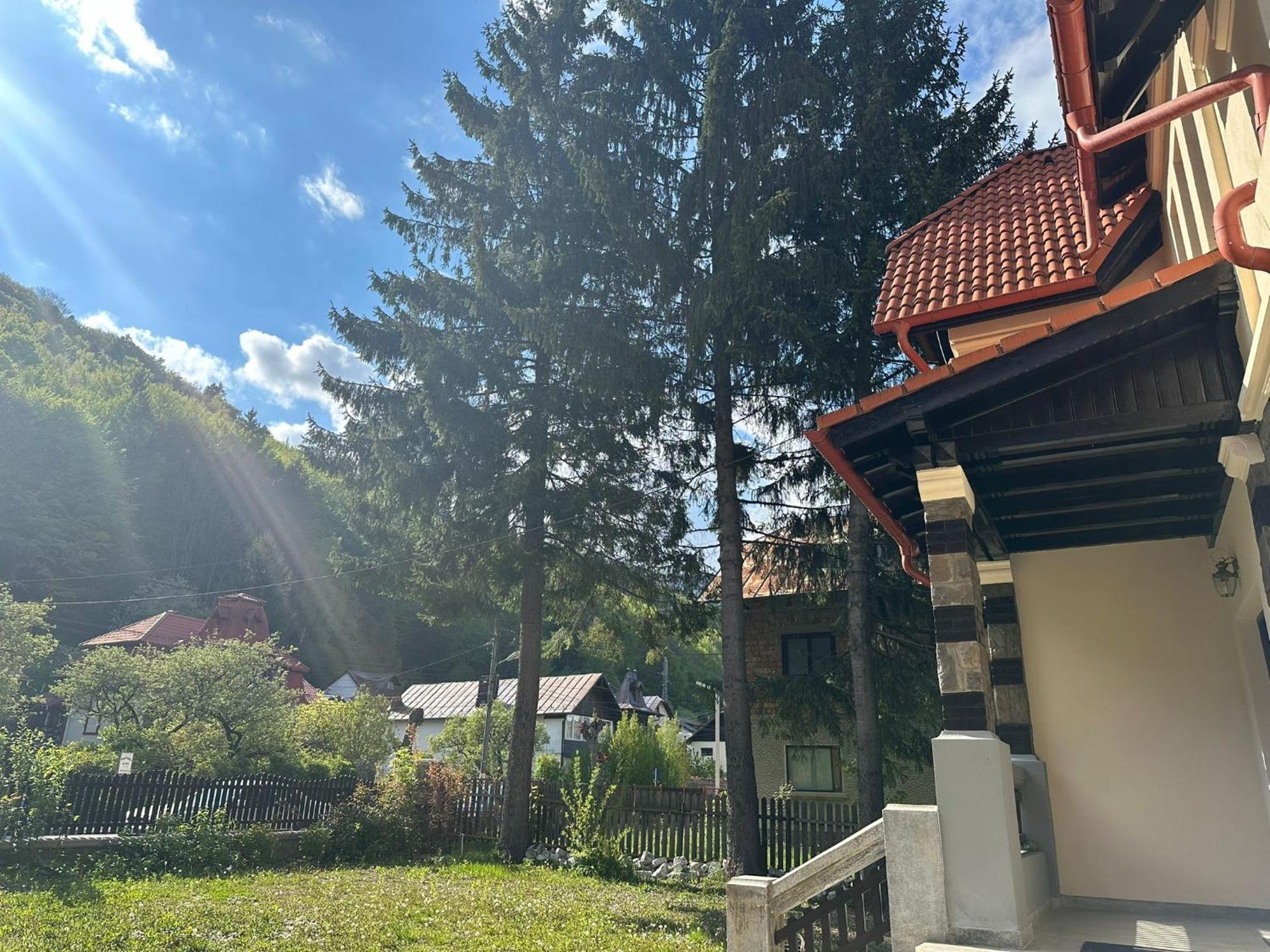 Bed and Breakfast Rapsodia Синая Экстерьер фото