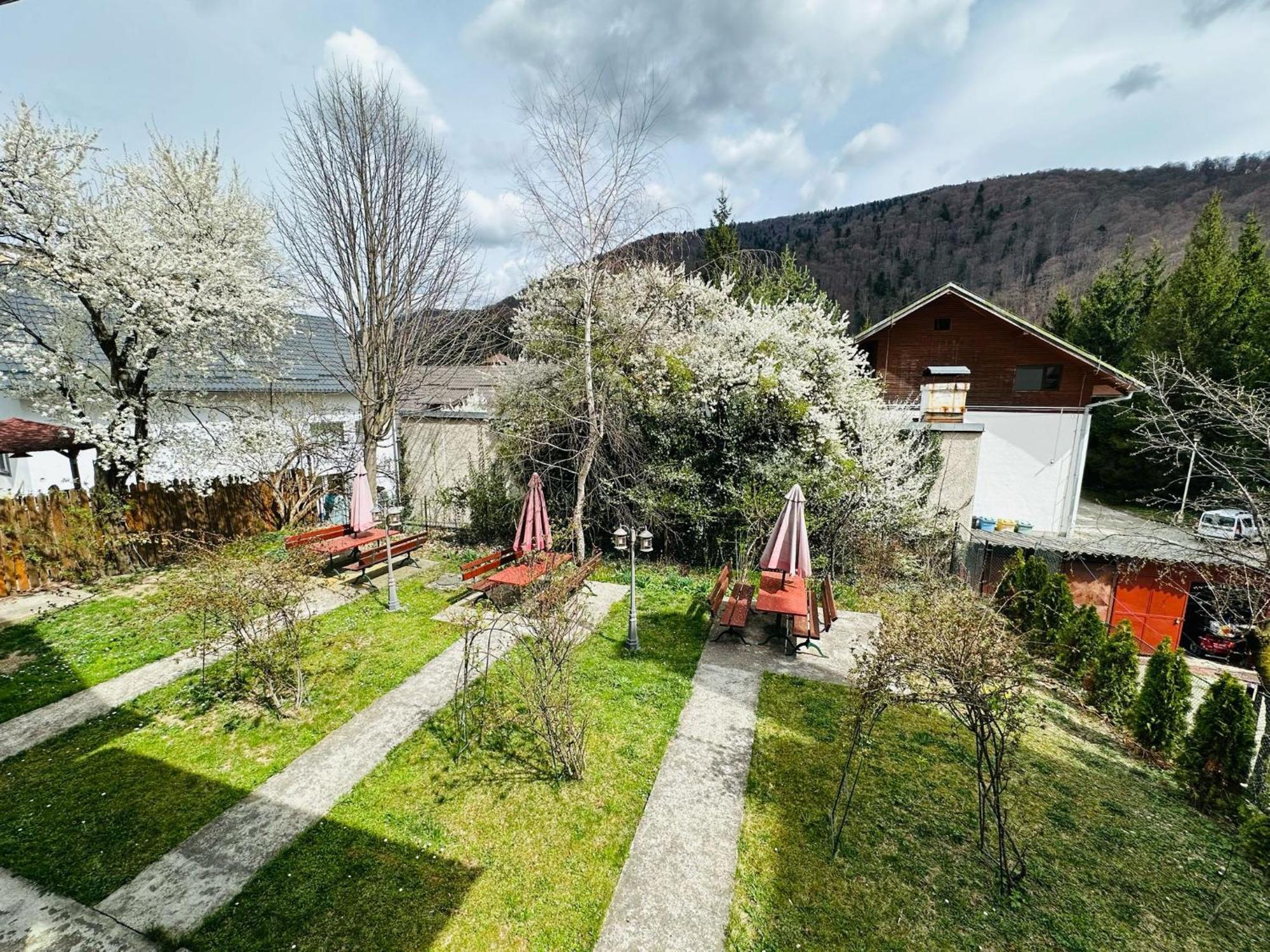 Bed and Breakfast Rapsodia Синая Экстерьер фото