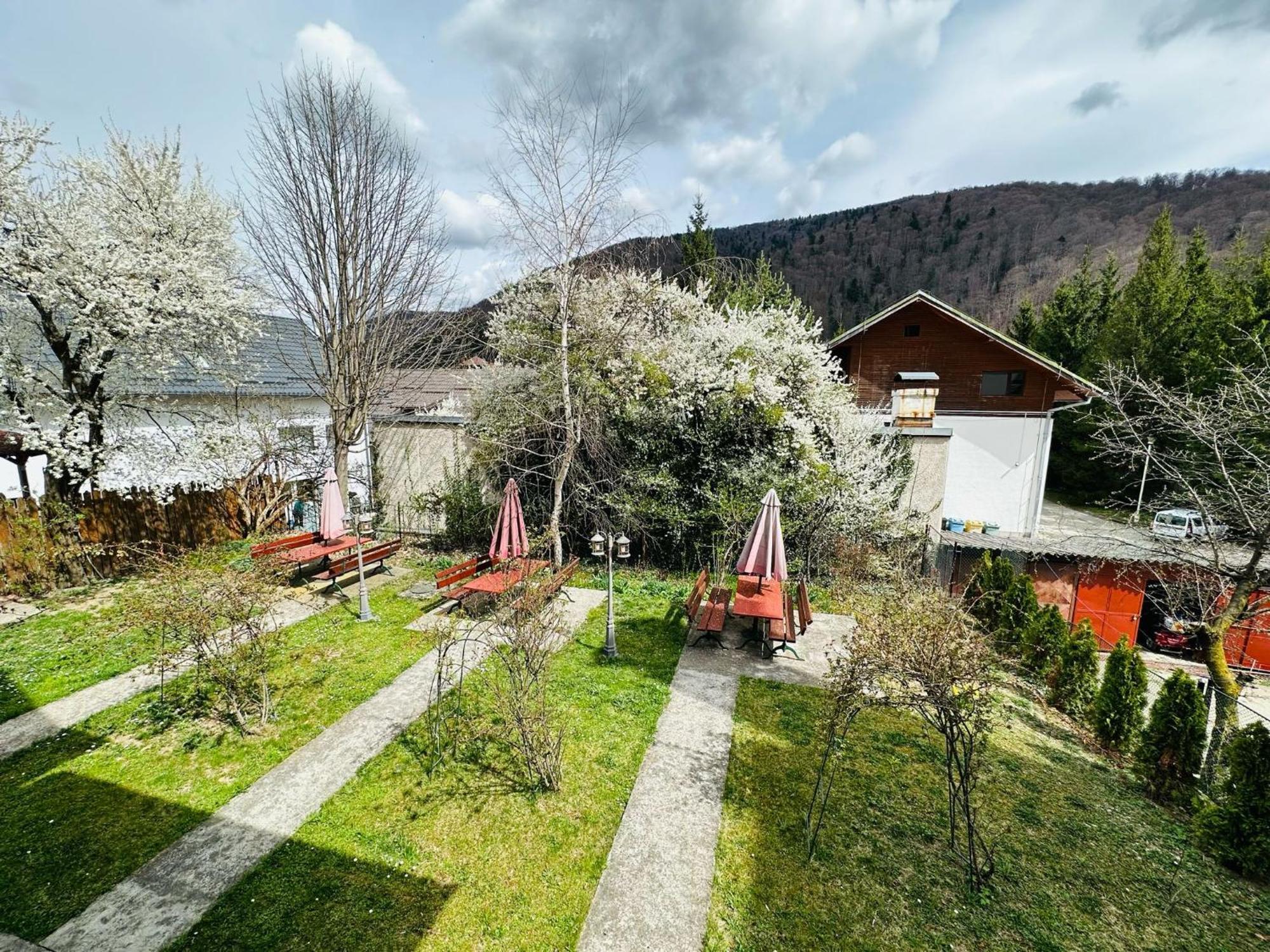 Bed and Breakfast Rapsodia Синая Экстерьер фото