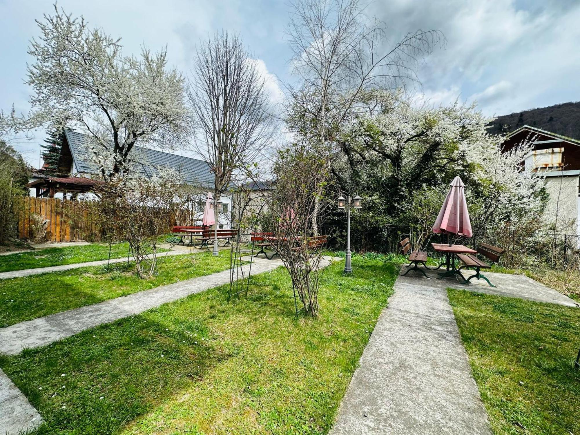 Bed and Breakfast Rapsodia Синая Экстерьер фото