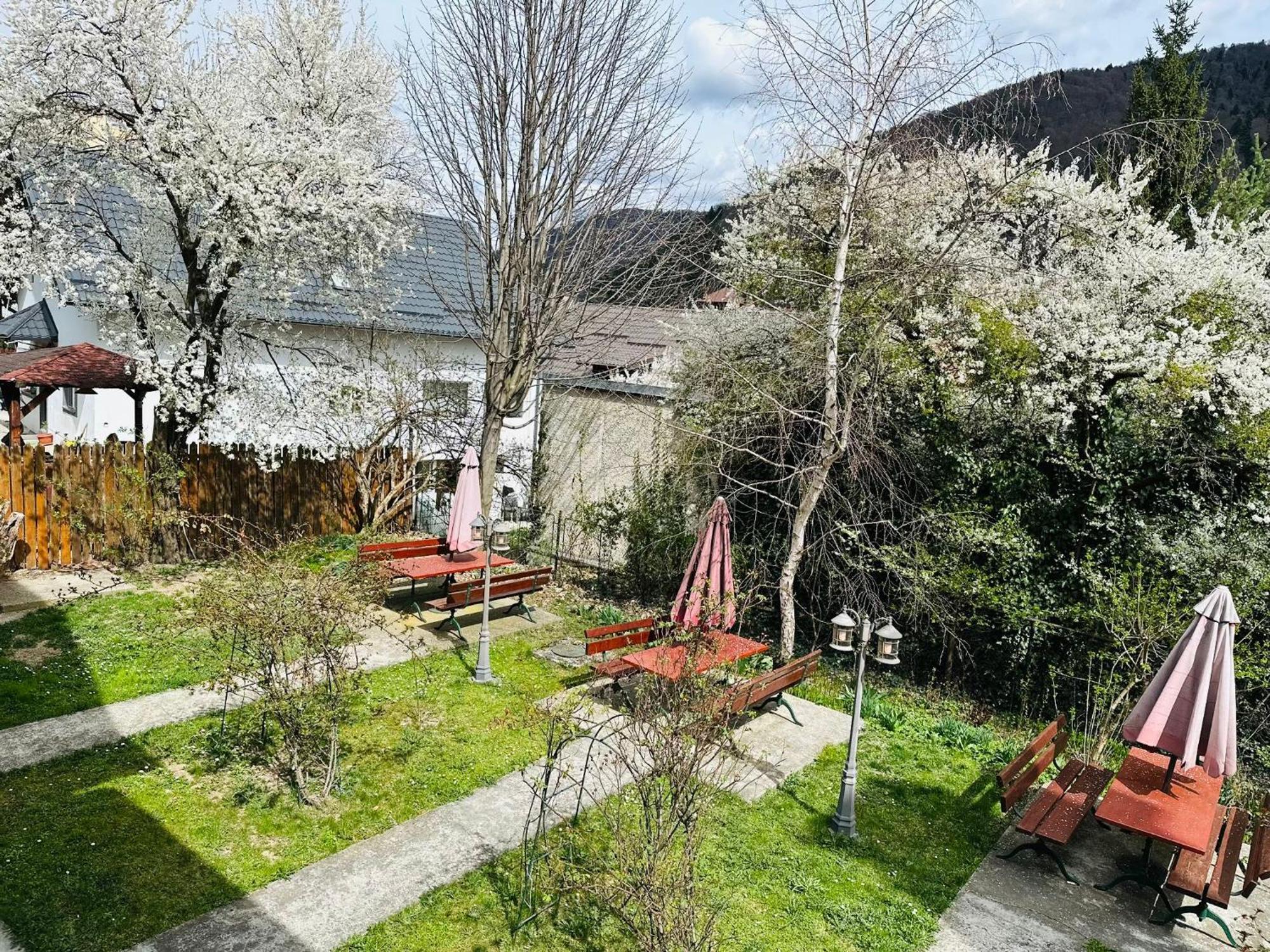 Bed and Breakfast Rapsodia Синая Экстерьер фото